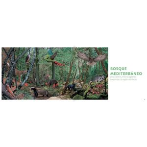 HISTORIA NATURAL DE LOS ANIMALES DEL BOSQUE