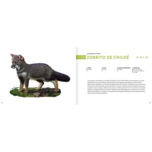 HISTORIA NATURAL DE LOS ANIMALES DEL BOSQUE