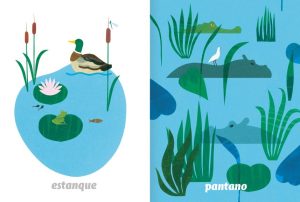 IMAGINARIO DEL AGUA