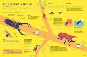 INSECTOPEDIA