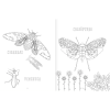 INSECTOPINTA
