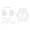 INSECTOPINTA