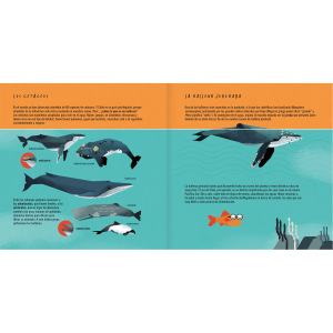 LA BALLENA JOROBADA