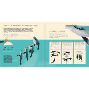 LA BALLENA JOROBADA
