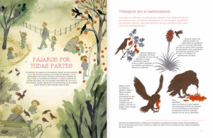 VUELO DE PÁJAROS AMERICANOS