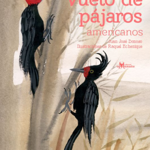 VUELO DE PÁJAROS AMERICANOS