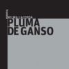 Pluma de ganso
