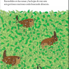 CUENTA LOS PÁJAROS