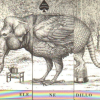 ANIMALARIO UNIVERSAL
