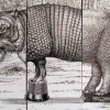 ANIMALARIO UNIVERSAL