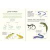 AGUA Y TIERRA ANFIBIOS Y REPTILES DE AMÉRICA