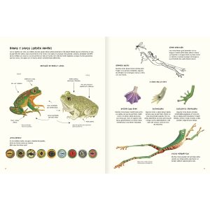 AGUA Y TIERRA ANFIBIOS Y REPTILES DE AMÉRICA