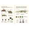 AGUA Y TIERRA ANFIBIOS Y REPTILES DE AMÉRICA