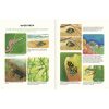AGUA Y TIERRA ANFIBIOS Y REPTILES DE AMÉRICA