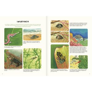 AGUA Y TIERRA ANFIBIOS Y REPTILES DE AMÉRICA