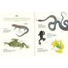 AGUA Y TIERRA ANFIBIOS Y REPTILES DE AMÉRICA