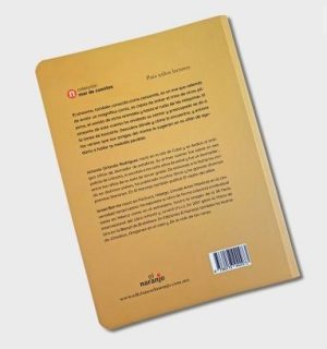 CUENTO DEL SINSONTE OLVIDADIZO