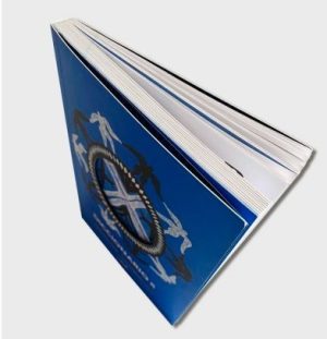 DICCIONARIO DE MITOS DE AMÉRICA