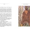 CUENTOS DE ESPANTOS Y APARECIDOS