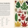 BOTANICUM