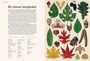BOTANICUM