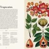BOTANICUM