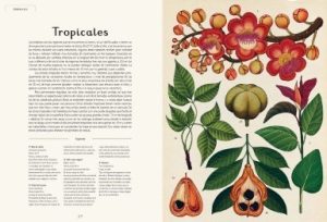 BOTANICUM