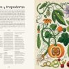 BOTANICUM
