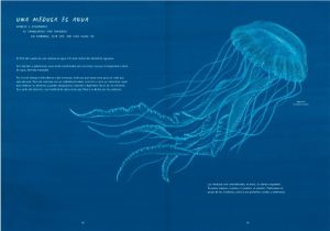 MISTERIOSAS MEDUSAS