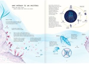 MISTERIOSAS MEDUSAS