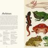 ANIMALIUM