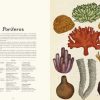 ANIMALIUM