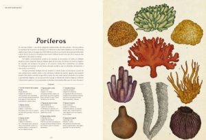 ANIMALIUM