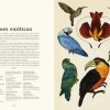 ANIMALIUM