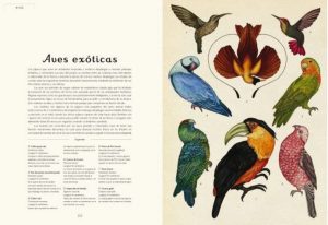 ANIMALIUM