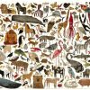 SON TANTOS ANIMALES