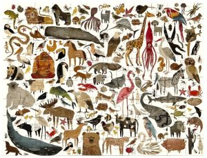 SON TANTOS ANIMALES