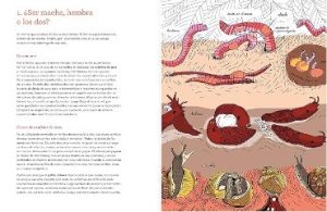 LA VIDA AMOROSA DE LOS ANIMALES