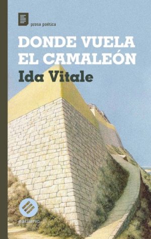 DONDE VUELA EL CAMALEON
