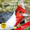 PAJARITOS EN URUGUAY 1
