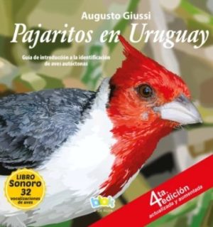 PAJARITOS EN URUGUAY 1
