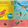 AVES POR TODAS PARTES