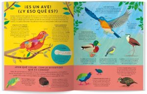 AVES POR TODAS PARTES