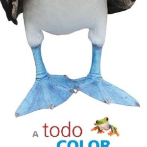 A TODO COLOR