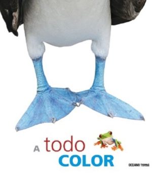 A TODO COLOR