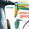 A TODO COLOR