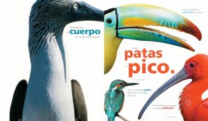 A TODO COLOR