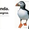A TODO COLOR