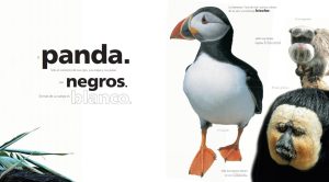 A TODO COLOR