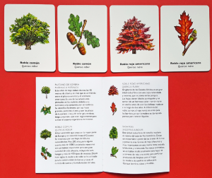 ENCUENTRA LA HOJA JUEGO DE MEORIA